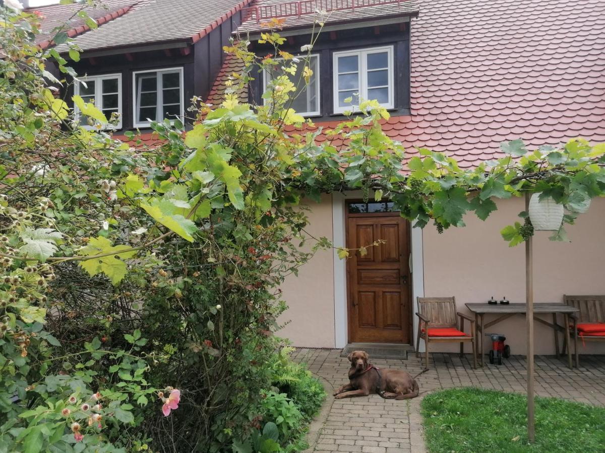 Ferienwohnungen Wastl Fraenkische Schweiz Hiltpoltstein エクステリア 写真